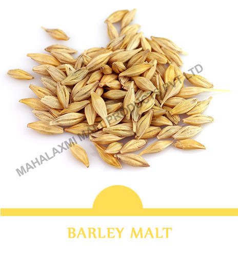 , Barley Malt suppliers | Malted Milk Food 